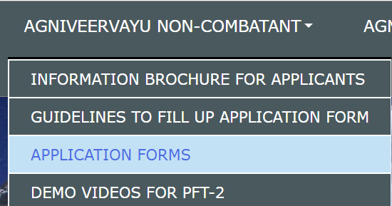 Menu will showcase the Application form.png