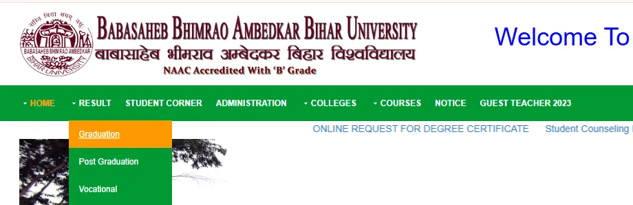 BRABU website navigation menu for graduation and courses.webp